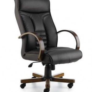 YÖNETİCİ KOLTUĞU